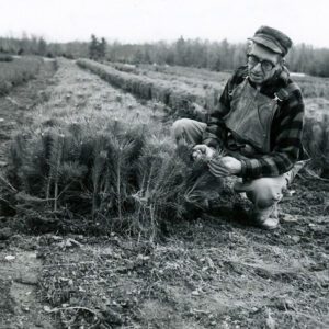 04_16_0000_Pine_Grove_Nursery._Claud_Schleckley_website-5679