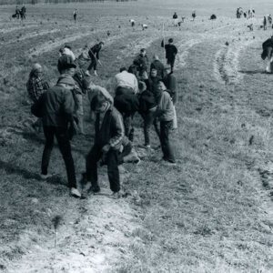 04_16_1966_Tree_planting_at_Boy_Scout_forestry_Day_at_Camp_Avery_Hand.__5_000_trees_in_2___one_half_hours_website-5509