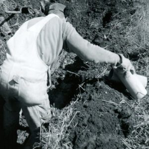 April 19, 1967 Steve Phillips Observing Tiling