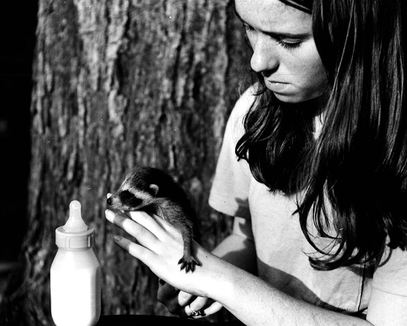 April 26, 1970
Joy Bishop with a young raccoon 
Photo ID#: S649