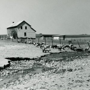 May 5, 1969 Richard Forbes Farm, Worthington Township