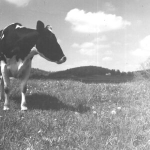 May 11, 1965 F.M. Farley Farm