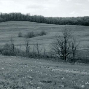 May 13, 1967. A field.