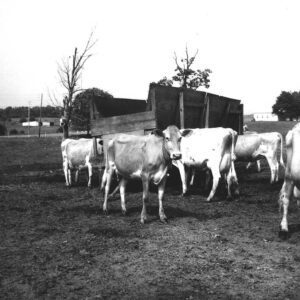 May 29, 1975 Jay Rinehart Farm
