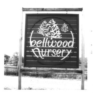 05_31_1974_David_Bell_Nursery_Bellwood_Nursery_0001-258