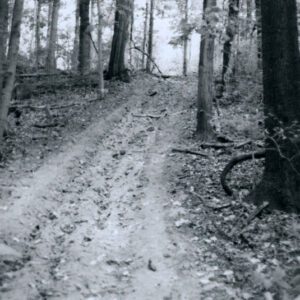 06_00_1980_Skid_trail._Bob_McConkies_website-5849