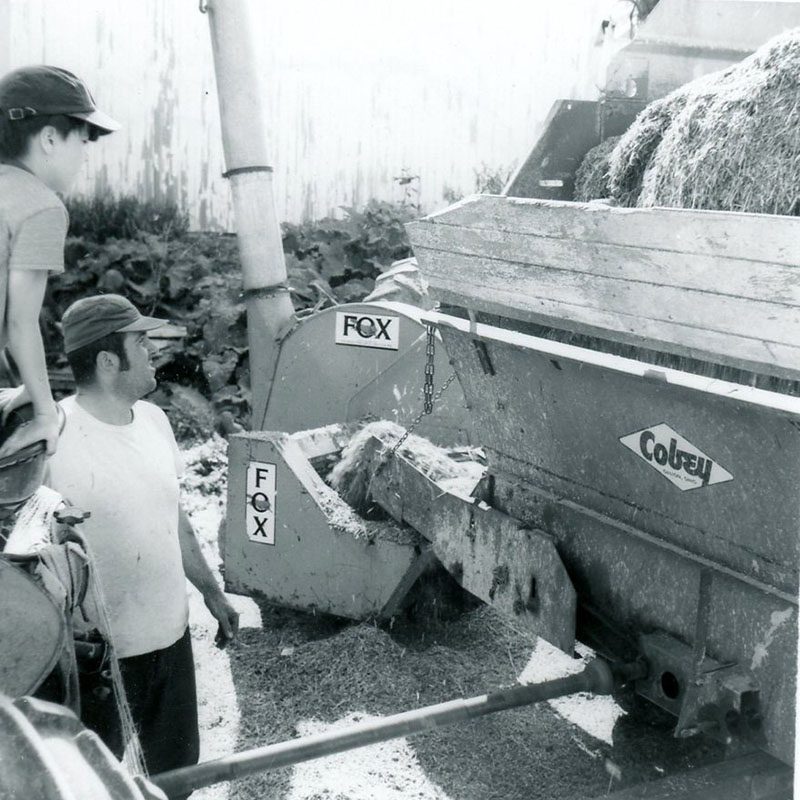 June 1, 1973
James Bernhard, sons
Photo ID#: A186