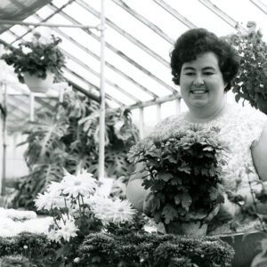 06_02_1975_Wonder_Garden_Florist_Carol_Fricken__an_experienced_empolyee_at_the_Wonder_Garden_Nursery_enjoys_showing_and_arranging_many_flowers_available_for_sale_website-2712