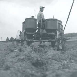 June 4, 1963. Spreading fertilizer.