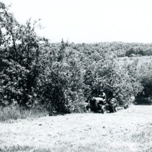 June 4, 1976. Herb Woodward, Saliday Farm.