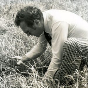 June 7, 1977 Larry Ault, No-till. J. Scherer Farm.
