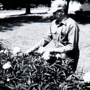 June 8, 1976 Alva Benninghoff with Peonies