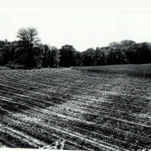 June 19, 1940 H.C. Snyder Farm Contour Cultivation of Corn with Meadow Control Strips in Butler
