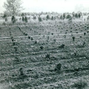06_22_1966_Wade__Gatton_Nursery_2_website-2679