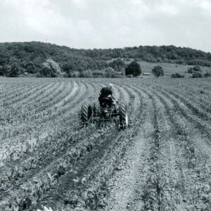 June 23, 1967. Harold Frants at the Darling Farm