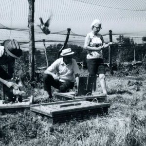 06_24_1980_Pheasant_release._Mark_Hersman._Sportsman_Club_website-5384