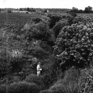 06_28_1962_Marsh_Run__2_website-4802