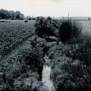 06_28_1962_View_of_main_channel_of_Marsh_Run__2_Watershed_looking_west_from_bridge_on_Kuhn_Rd_near_the_Roscoe_Major_farm_website-5128