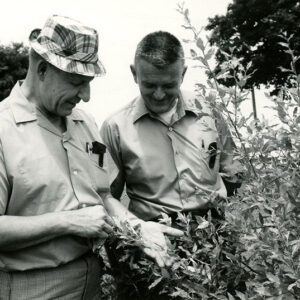 06_29_1971_Granville_Smith___Richard_Keef_with_Autumn_Olive_planted_in_1969_at_Wm_Enderly_Farm_4_website-2769