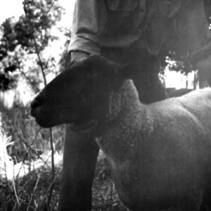 July 1, 1971 Paul McKenny Farm