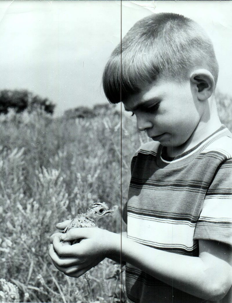 July 3, 1968
Tod Mills with a young pheasant
Kelleys Island
Photo ID#: Y245