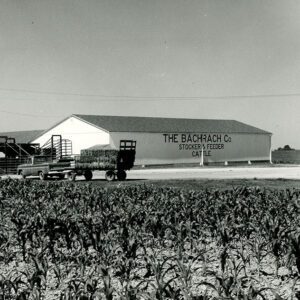 July 3, 1971 The Bachrach Co. Stocker and Feed Cattle on State Route 603 Southeast of Plymouth. Shown is the feeding barn.
