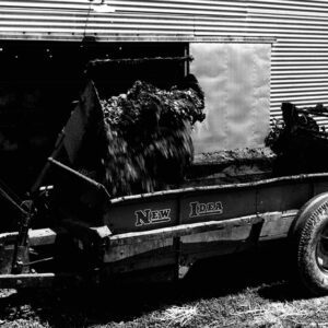 July 4, 1972. Elmer Snavely as he emptied the manure from his chicken egg barn