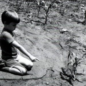 July 4, 1973. Jeff Morrow points to severe erosion losses in a cornfield.