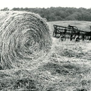 July 9, 1973 Lawrence Flenners new bales of hay at the Ralph Winters Farm.-872