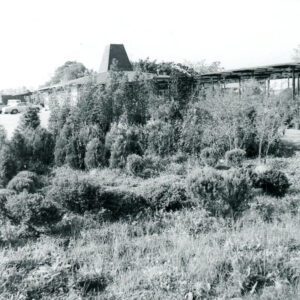 07_10_1972_Tuttle_Gardens._Axter_website-2714