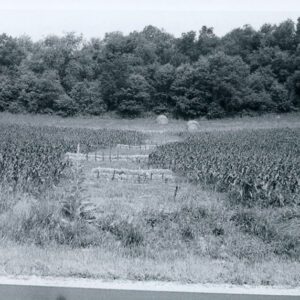 July 12, 1980 The successful seeding of a grassed waterway using straw bales to divert and check water flow