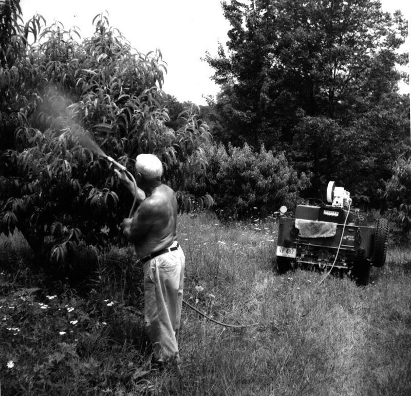 July 14, 1970
Robert Ludwick's peaches
Photo ID#: A611