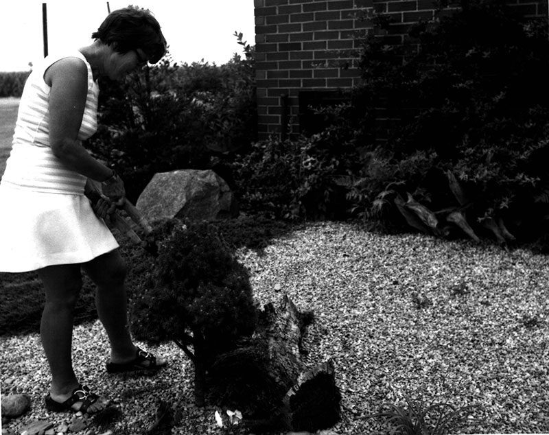 July 15, 1975
Mrs. Jane Metzger examines her ornamental planting
Photo ID#: P54