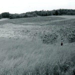 July 16, 1972 No-till contour strips.