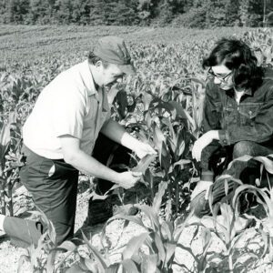 July 18, 1974 Jack Shanewise, Mark Massa, No-till corn