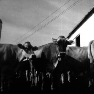 July 22, 1970 Dale Broeske Farm