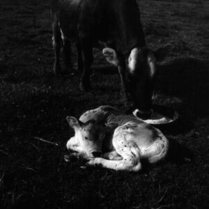 July 22, 1970 Dale Broeske Farm