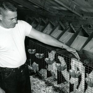 July 24, 1970 John Ramsey Mink Farm near Lexington, Ohio.