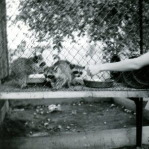 07_27_1972_J_Scherer_Farm_3_website-4395