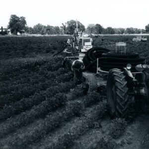 July 30, 1976 Schimf and Young Ditcher; Don Shawk Farm