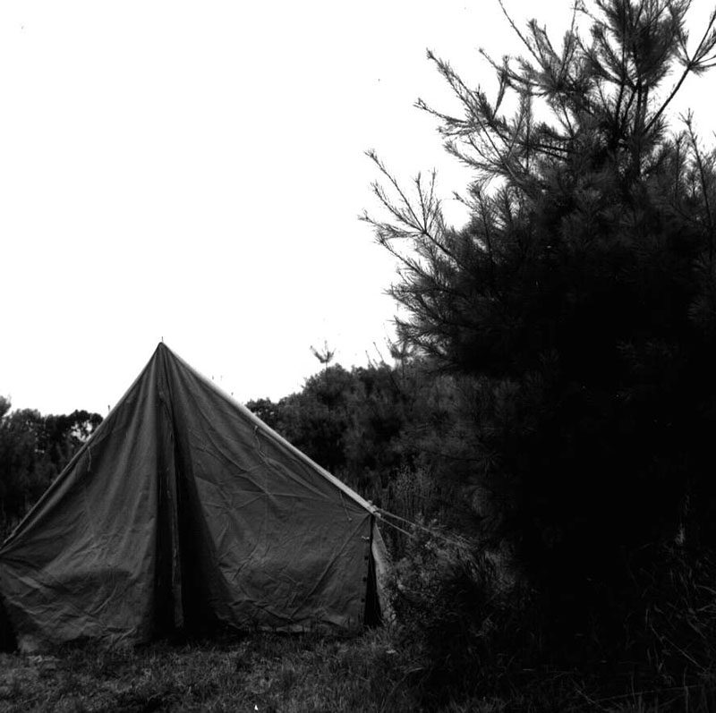 July 31, 1976
Photo ID#: Y135