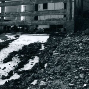 August 1980 Bill Bierly’s animal waste facility