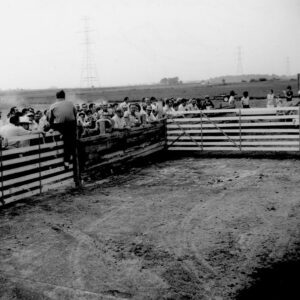 08_01_1972_Beef_School_Lacky_Farm_website-3558