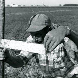 August 11, 1967 Leonard Kreitemeyer, Drainage Contractor, Tile Drainage Installation