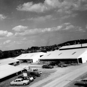 August 15, 1974 Beef Feeding Operation.