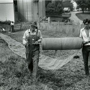 August 15, 1978 Doyle McCarron Mulch Netting for a Waterway
