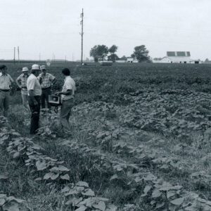08_24_1970_John_Scherers._No_till_sunflowers_in_wheat_stubble._Soy_bean_Tour_website___Copy-1185