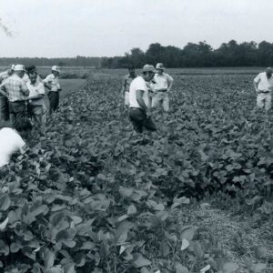 August 24, 1980 No-till bean tour in the Shelby Area