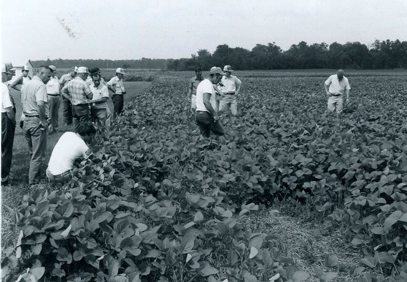 August 24, 1980
No-till bean tour
Shelby area
Photo ID#: A939