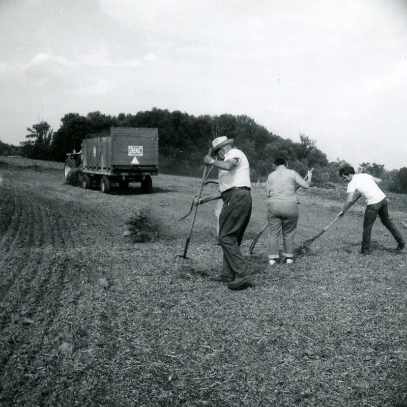 September 3, 1970
Hugh Osborn and Mrs. Lee Oswalt
Lee Oswalt Farm
Photo ID#: S376